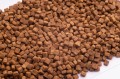 CLUB 4 PAWS Adult Small Breeds dla Małych Ras