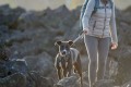 RUFFWEAR Front Range Harness Szelki dla Psa RIVER ROCK GREEN