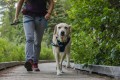RUFFWEAR Front Range Harness Szelki dla Psa BLUE POOL