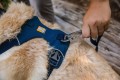 RUFFWEAR Front Range Harness Szelki dla Psa BLUE POOL