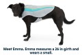 RUFFWEAR Swamp Cooler - Kamizelka chłodząca dla psa szara