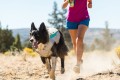 RUFFWEAR Swamp Cooler - Kamizelka chłodząca dla psa szara