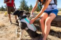 RUFFWEAR Swamp Cooler - Kamizelka chłodząca dla psa szara