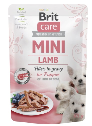 BC_MINI_kapsicka_lamb_puppy_3D.jpg