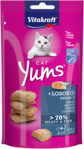 Vitakraft Cat Yums z łososiem 40g