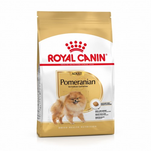 1619