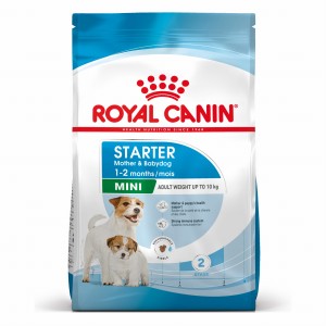 ROYAL CANIN Mini Starter Mother & Babydog 8kg suki w ciąży i laktacji