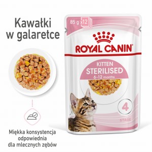 ROYAL CANIN Kitten Sterilised w galaretce 12x85g kocięta do 12 miesiąca życia, sterylizowane