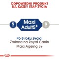 8363