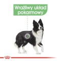 8368