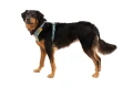 RUFFWEAR Front Range Harness Szelki dla Psa RIVER ROCK GREEN