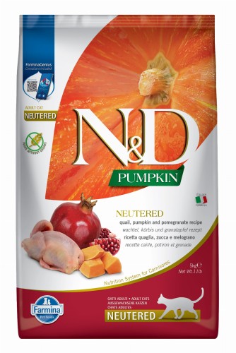 e5d2daea287a9c11902377754ea931fa