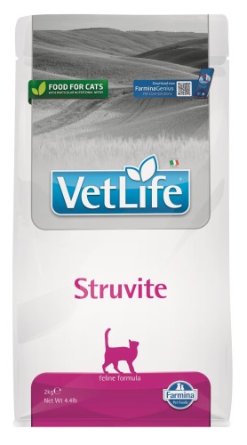 ddbf9c550c4ca29ec8316569529c36fe