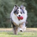 5afb6c0d7260731ed1e74dacb06f81e7.jpg