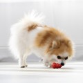f3d8bffcbc54cc6a50b78bad13eceab6.jpg