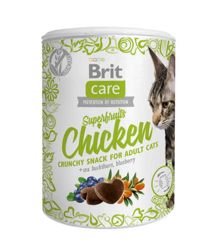 CAT brit care snack superfruits chicken 100g.png